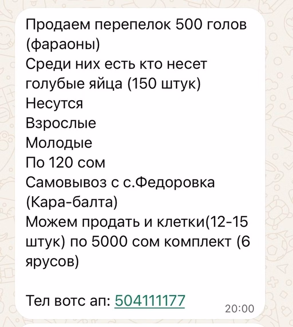 ფარაოჰ