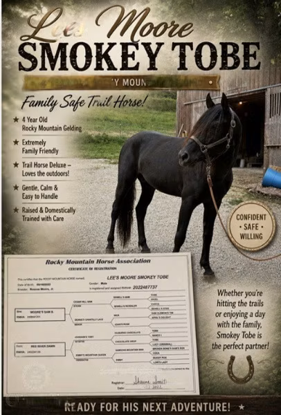 Black Sea breed